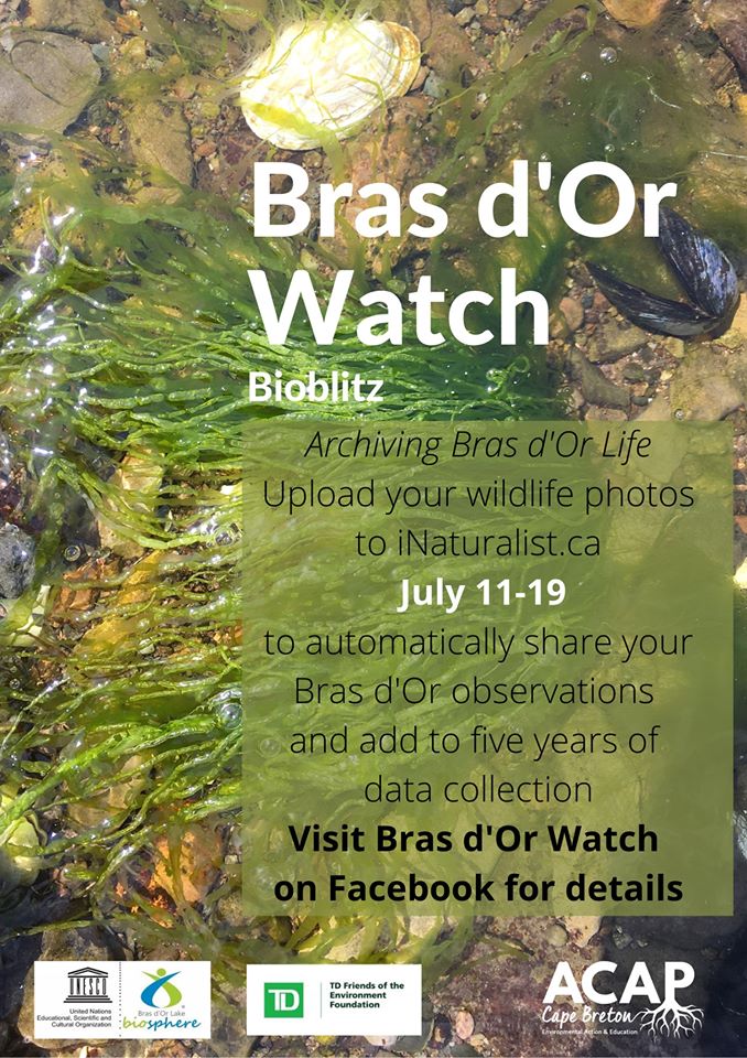 Bras d'Or Watch 2020 – Biosphere Region