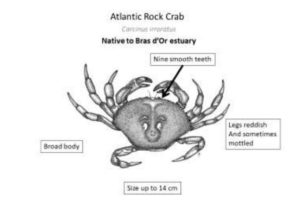 Educational