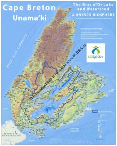 Laminated Biosphere Wall Map Pickup